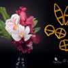 set decupatoare orhidee vanda